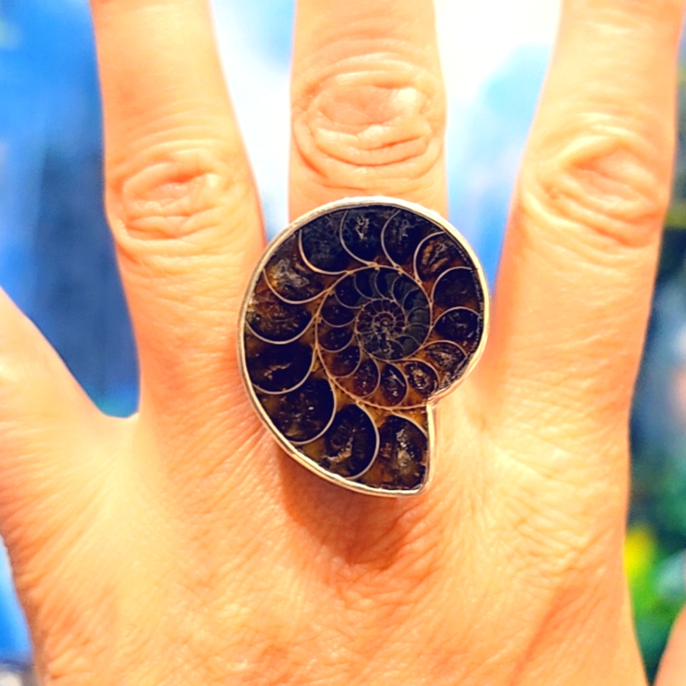 Ammonite Ring, Solid Sterling Silver Gemstone Ring